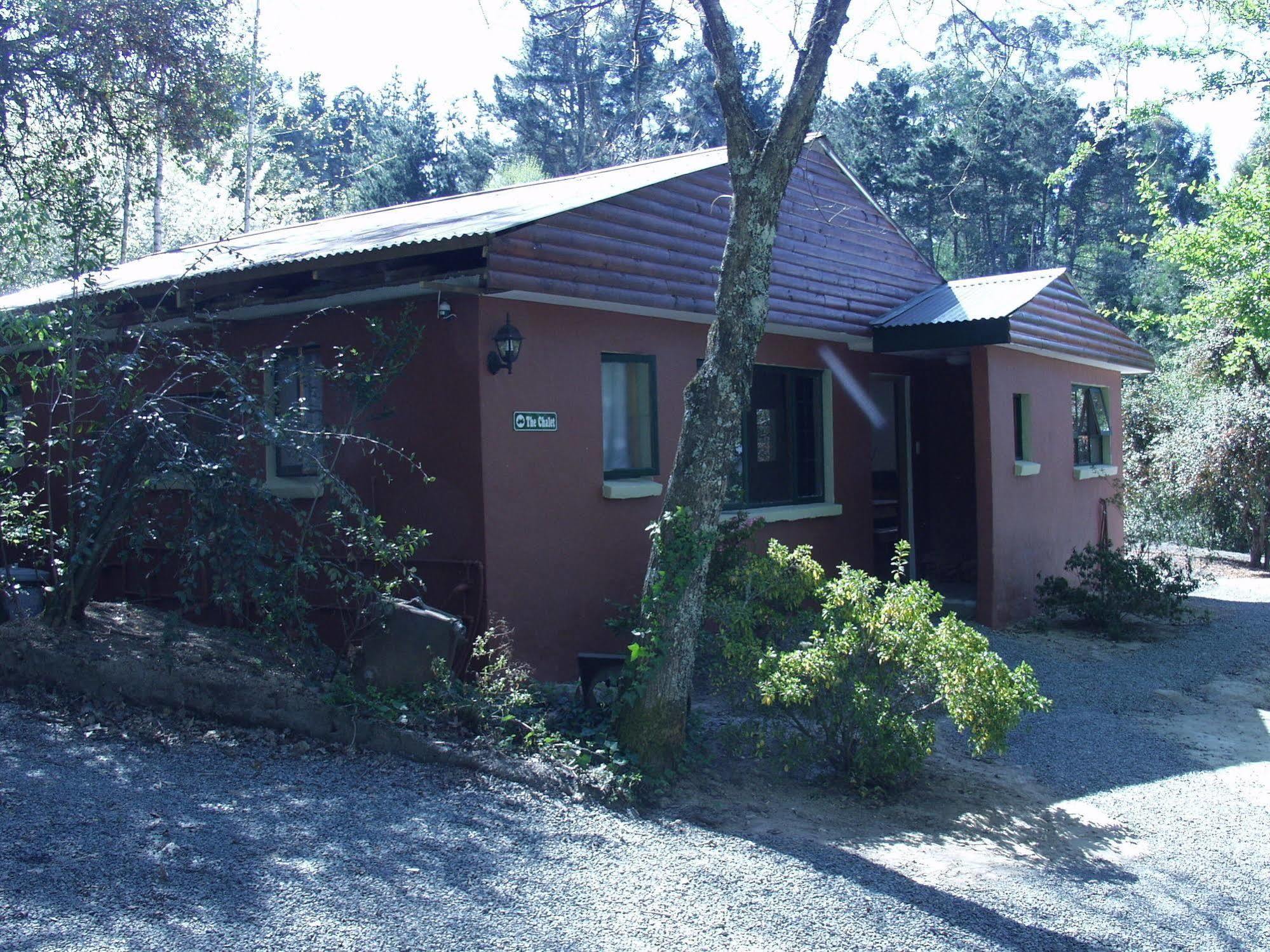 Maple Grove Villa Hogsback Exteriör bild