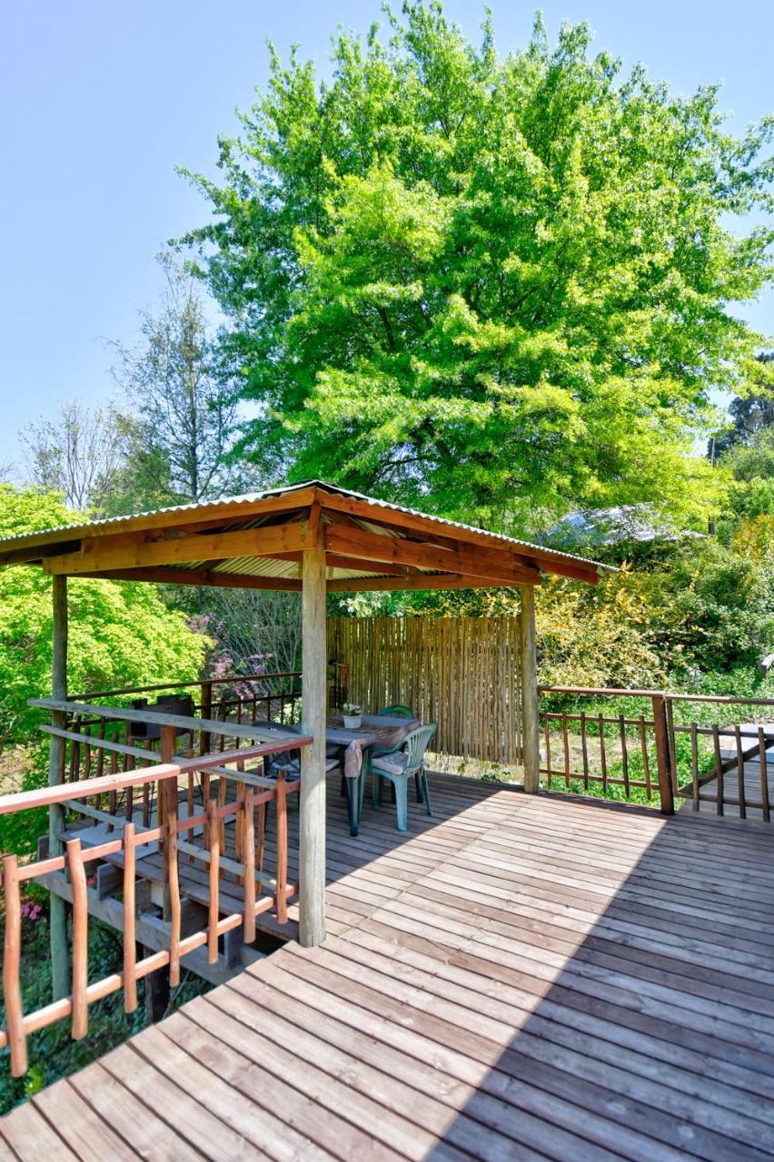 Maple Grove Villa Hogsback Exteriör bild